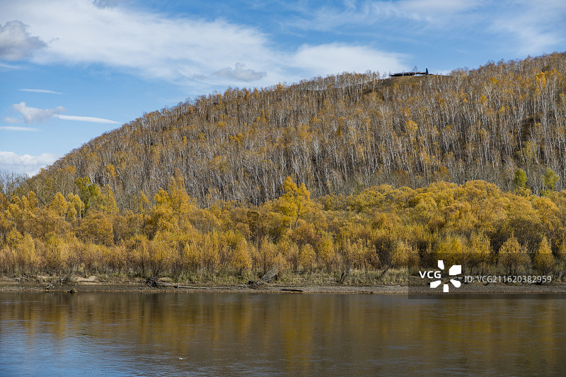 秋天的呼伦贝尔市额尔古纳市的哈乌尔河，乌鲁河，金色树叶图片素材