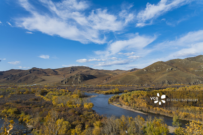 呼伦贝尔额尔古纳，大兴安岭秋季风光，金色树林图片素材