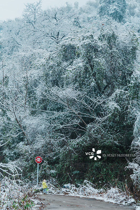 雪中同盘顶图片素材