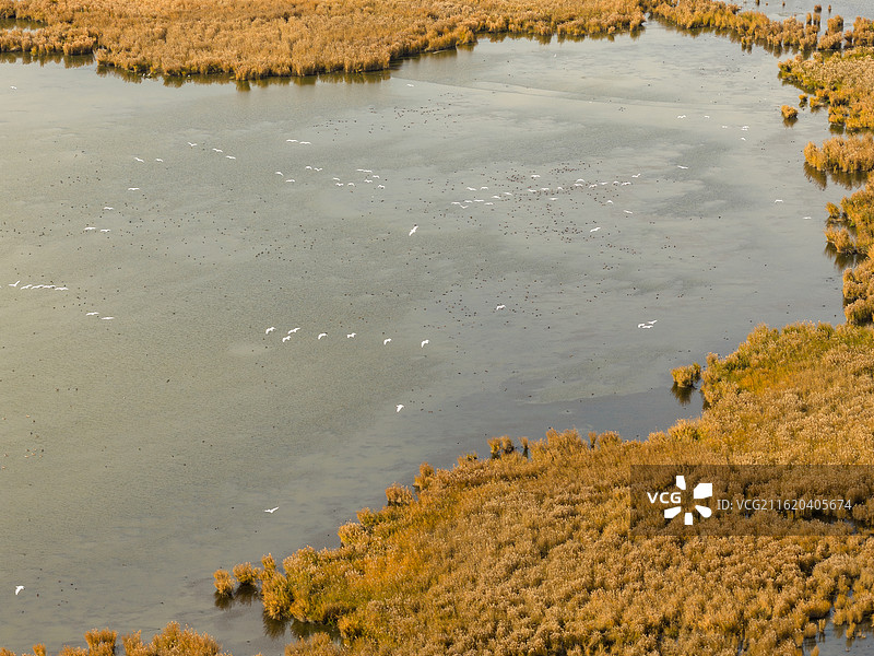 呼伦贝尔大草原图片素材