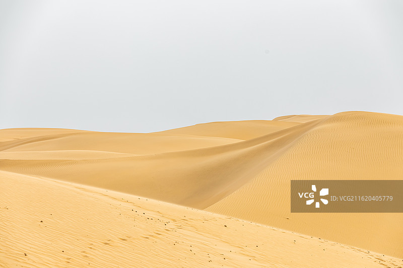 库布齐沙漠，沙漠纹理，沙漠纹理，沙漠背景，纹理，背景，金色背景，金色图片素材