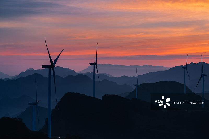 金色朝霞中的风力森林图片素材