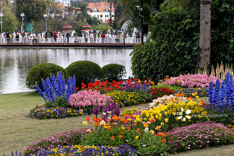 广州版莫奈花园图片素材
