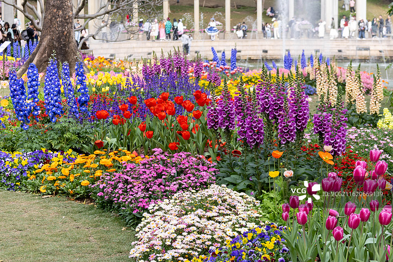 广州版莫奈花园图片素材