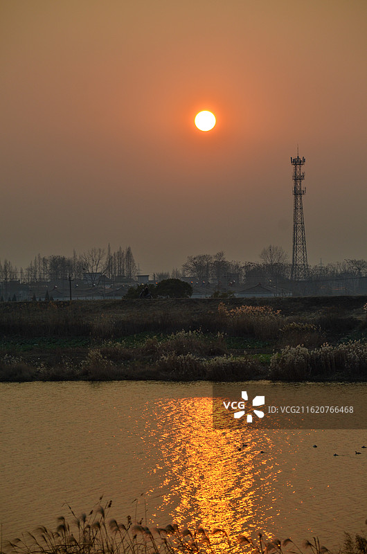夕阳里金光灿灿的湖面与芦苇荡图片素材