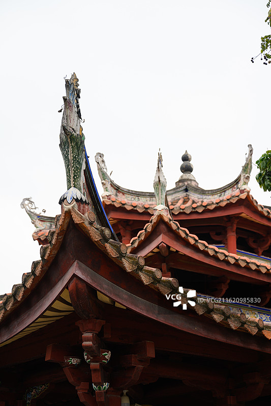 泉州古城的热门旅游点：泉州西街、开元寺、双塔、中山路、妙音鸟图片素材