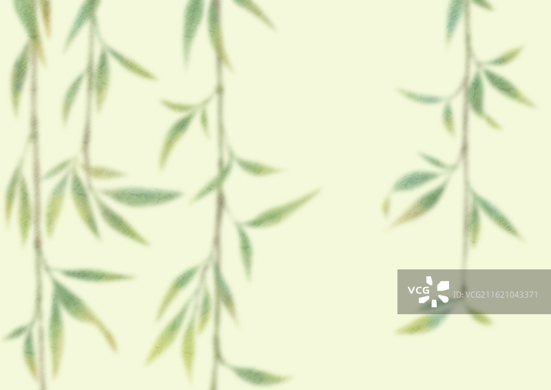 春天柳叶背景图片素材