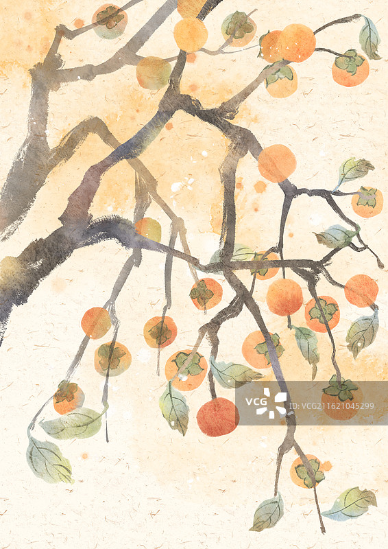 柿子水墨国风插画图片素材