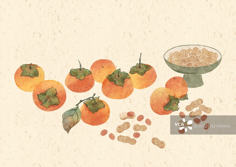 柿子 花生国风插画图片素材