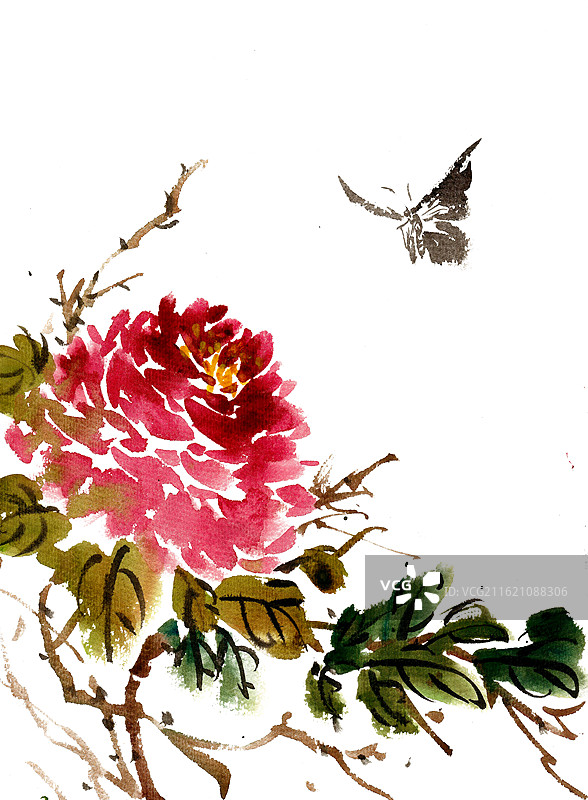 牡丹花与蝴蝶图片素材