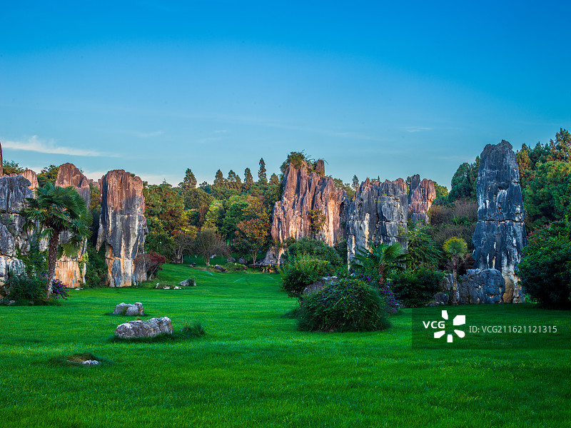 云南昆明市石林，形态各异的石林直插云霄，在阳光的照耀下，岩石表面光影交错，尽显大自然的鬼斧神工。图片素材