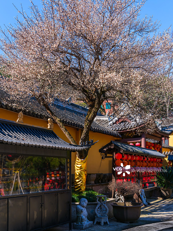 黃墻凝古意，寒雪點梅香——浙江嘉兴南北湖千年古庵：云岫庵图片素材