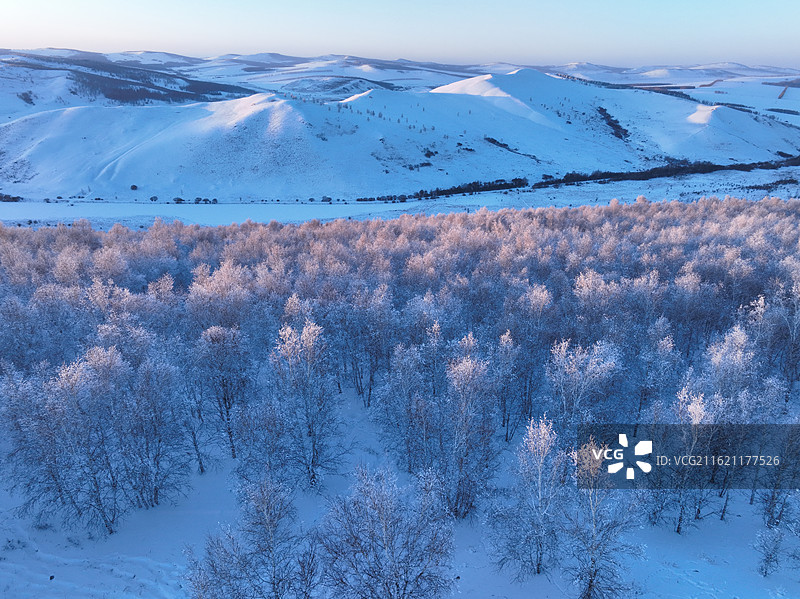 航拍呼伦贝尔冬日银色山林图片素材
