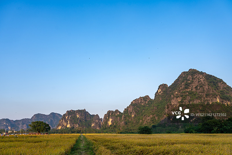 春北十里画廊稻田秋色，广东省阳江市阳春市春湾镇图片素材