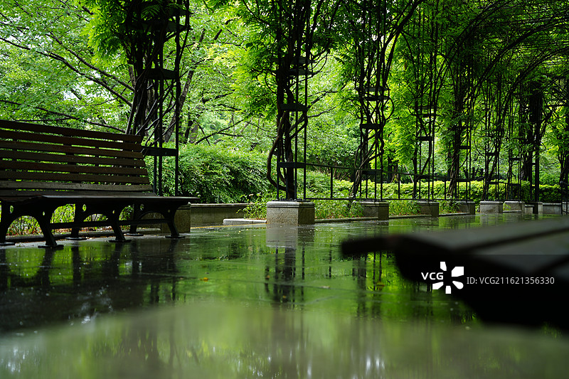 上海复兴公园夏季雨天紫藤绿植拱门花廊法式古典庭院建筑景观图片素材