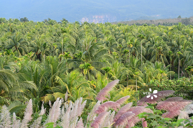 万宁，兴隆，巧克力小镇，馨湖图片素材