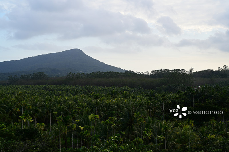 万宁，兴隆，巧克力小镇，馨湖图片素材