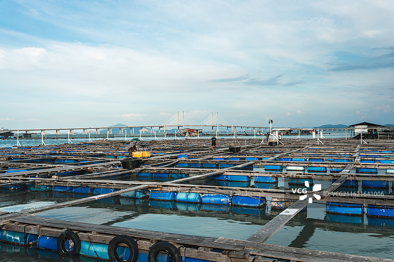 马来西亚槟城鱼排图片素材