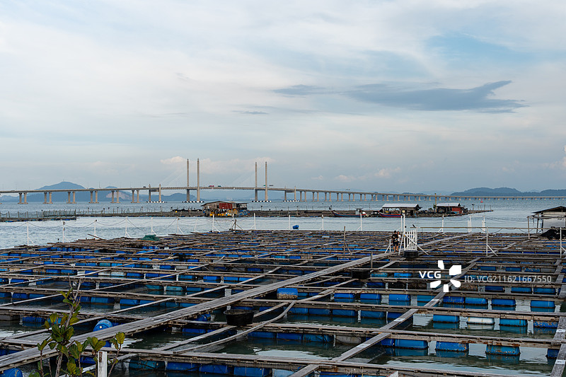 马来西亚槟城鱼排图片素材