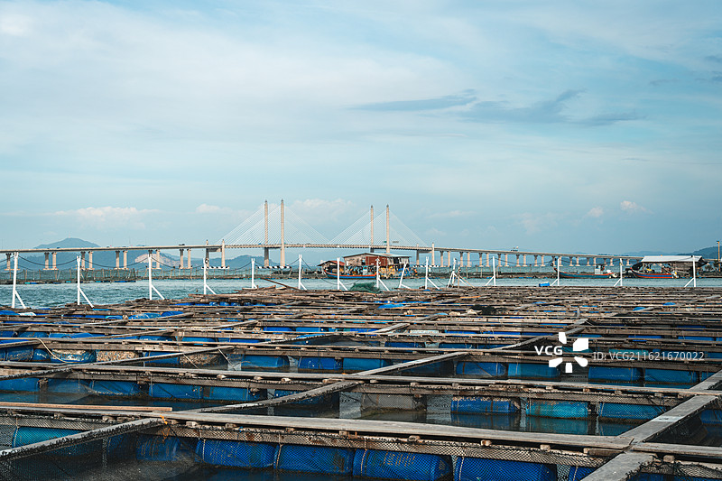 马来西亚槟城鱼排图片素材