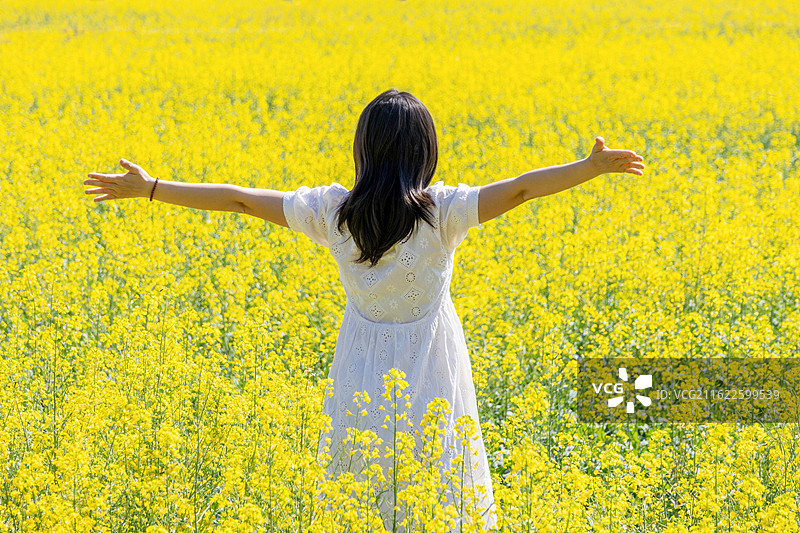 春日油菜花海中年轻女人张开双臂图片素材