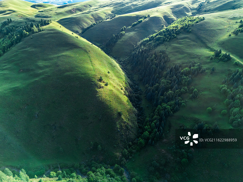 晨曦中的格聂南线的草甸与树林图片素材