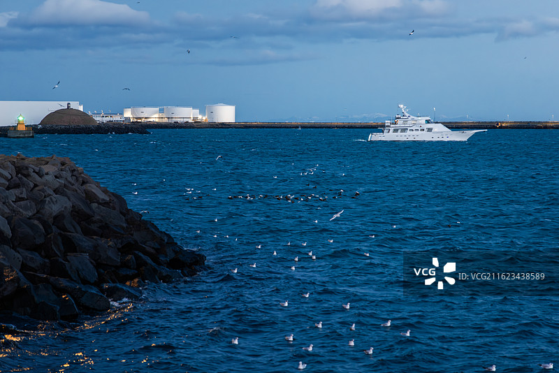 冰岛雷克雅未克首都海边海鸥海景日出图片素材