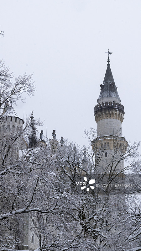 德国大暴雪天气下的新天鹅堡和周围建筑景色图片素材