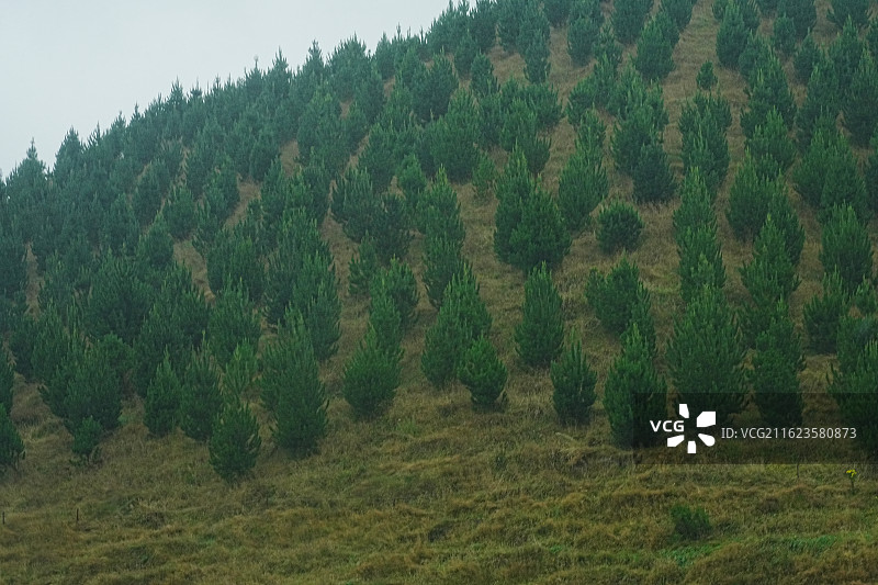 罗托鲁瓦沿途图片素材