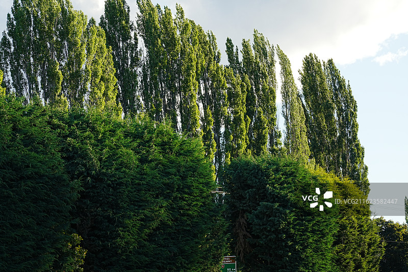 库克山地区星空小镇图片素材