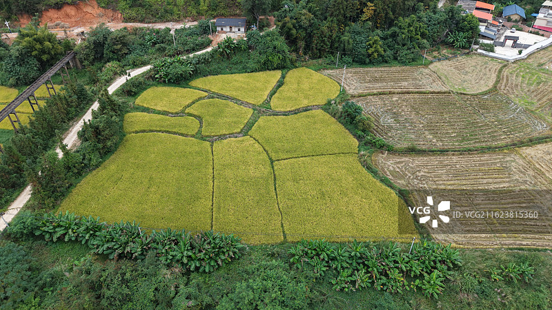 韶关南雄稻田图片素材