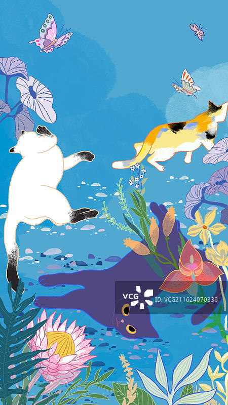 三猫的午后图片素材