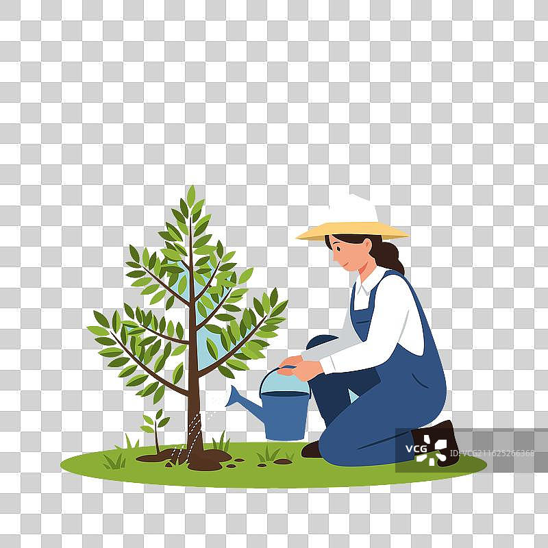 一位女士正在给正在生长的小树浇水，体现了对自然的保护图片素材