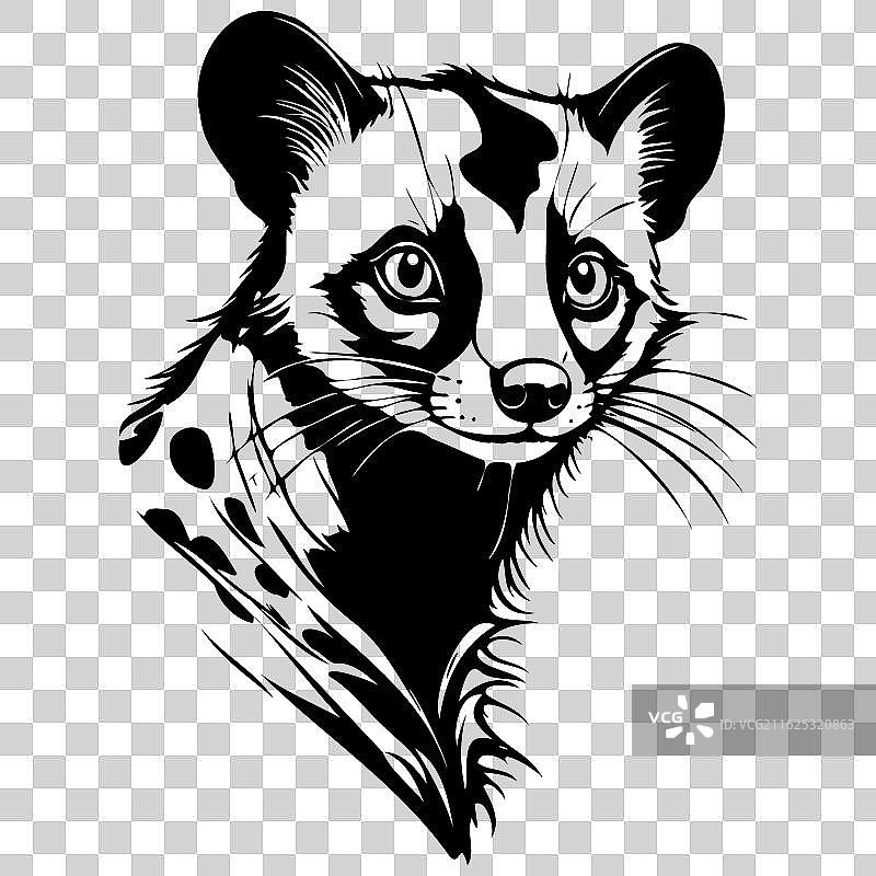 非洲灵猫肖像画线描图片素材