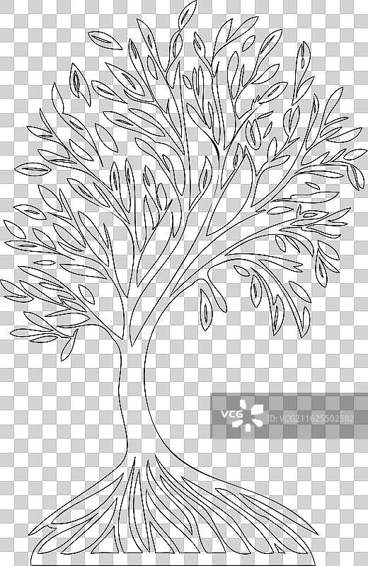 柳树自然轮廓素描图片素材