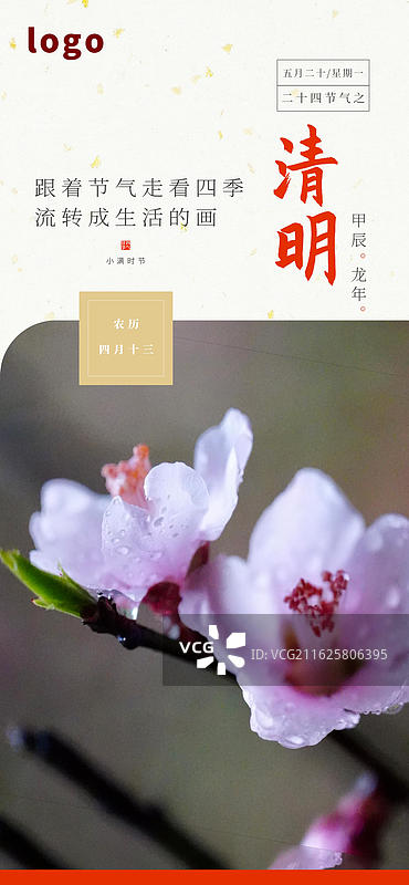 清明 节气 海报 山桃 桃花 蔷薇科乔木 下雨 春天 清明节 雨水 水滴 湿润图片素材