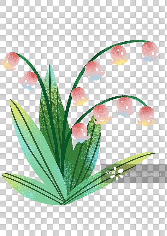 卡通铃兰花图片素材