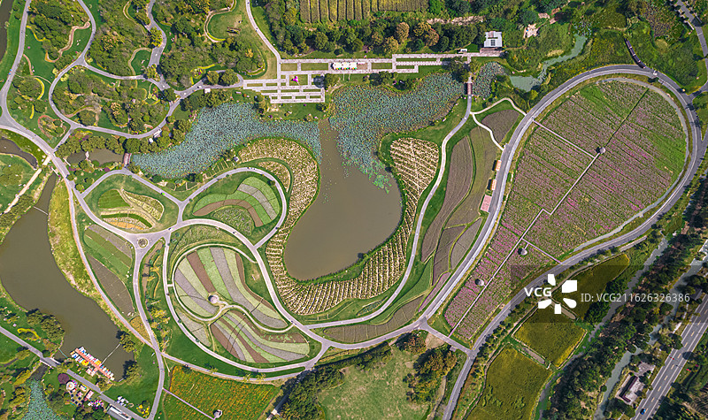 航拍余杭径山花海图片素材