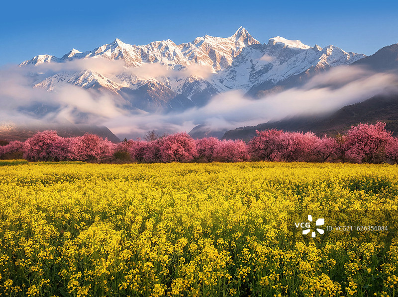 中国西藏林芝南迦巴瓦雪山下的原厂和桃花图片素材