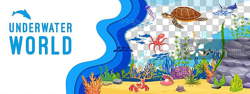海洋馆水下海生动物横幅图片素材