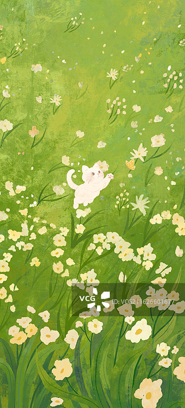 喵咪的四季生活春季图片素材