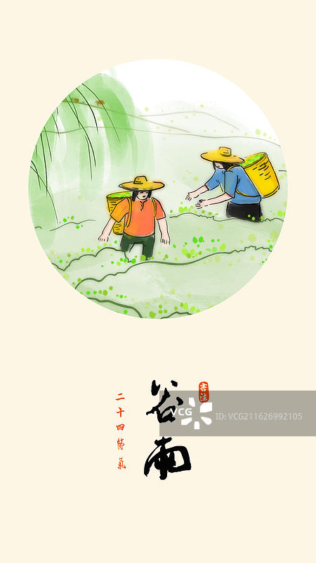 春天 谷雨 风景 节气 海报 茶叶 采茶 茶园 龙井图片素材