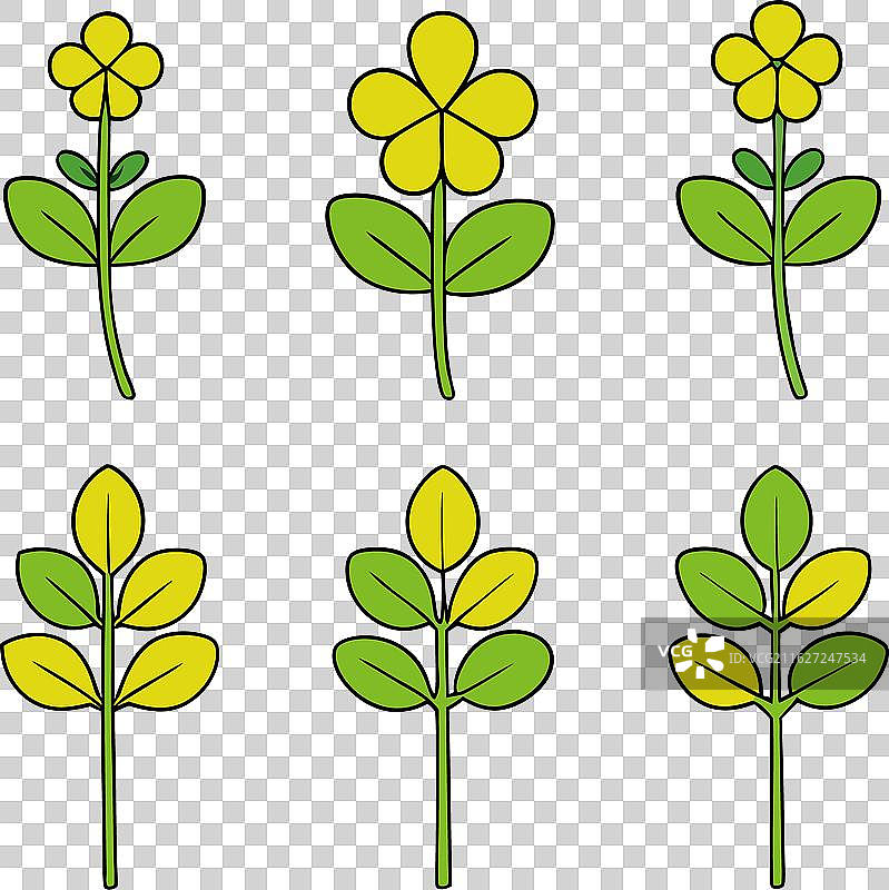 芥末绿蔬菜 卡通蔬菜 平铺图片素材