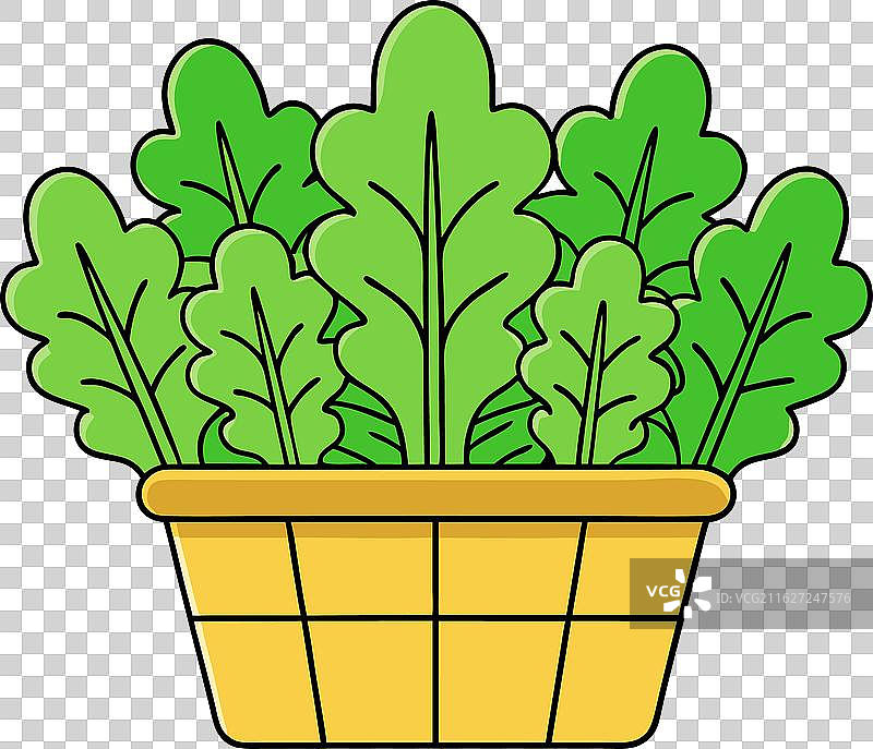 芥末绿蔬菜卡通蔬菜平面图片素材