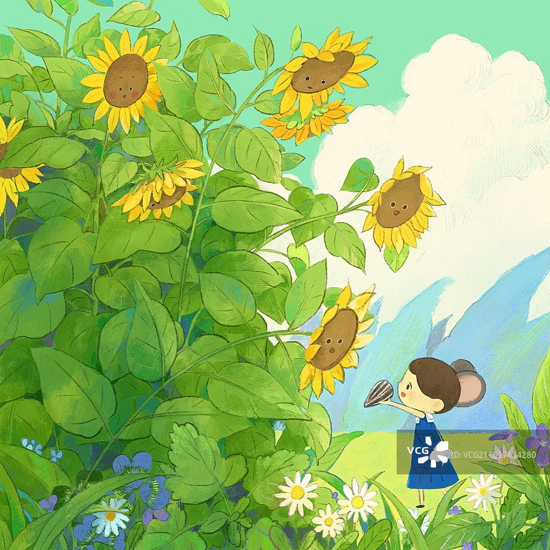 向日葵图片素材