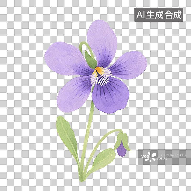 【AI数字艺术】草本紫花地丁紫色堇花插画图片素材