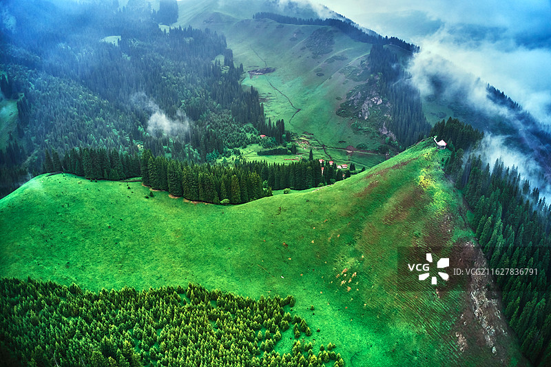 云雾缭绕的巩乃斯图片素材