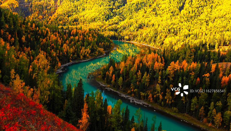 新疆阿勒泰喀纳斯月亮湾秋色图片素材