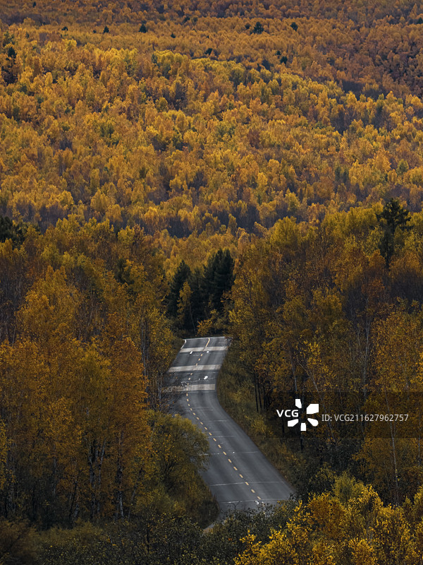 呼伦贝尔，秋季风景，大兴安岭，草原图片素材