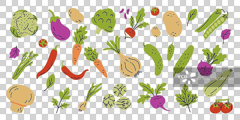 洋葱、番茄、黄瓜等蔬菜集合图片素材